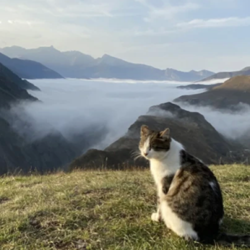 Лучшее в Северной Осетии: ущелья, древности и высокогорные селения