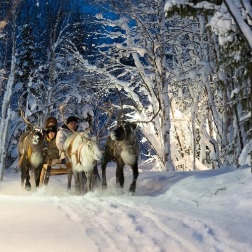 Главные локации и гастровпечатления Заполярья: тур в мини-группе по Мурманску и Териберке