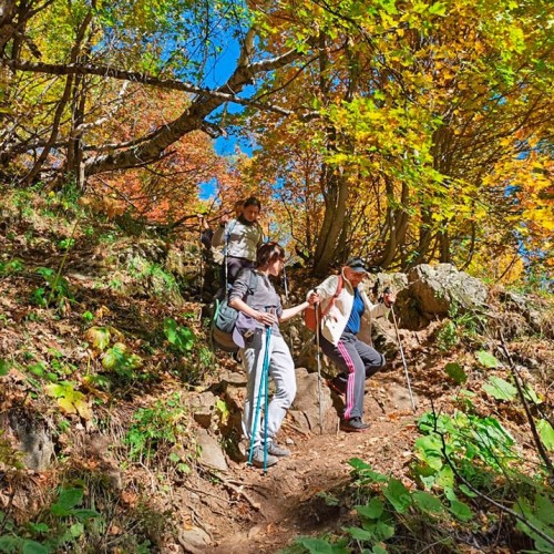 Домбай и Архыз: треккинг налегке с проживанием в гостинице
