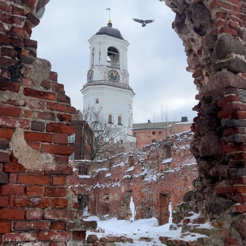 Конное путешествие в сердце Выборга — из Петербурга