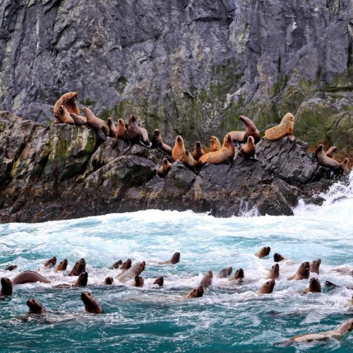 Джип-приключение на Камчатке: главные места, озеро медведей и треккинги