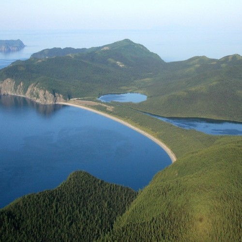 Навстречу гренландским китам: экспедиция к Шантарским островам с лекциями биологов