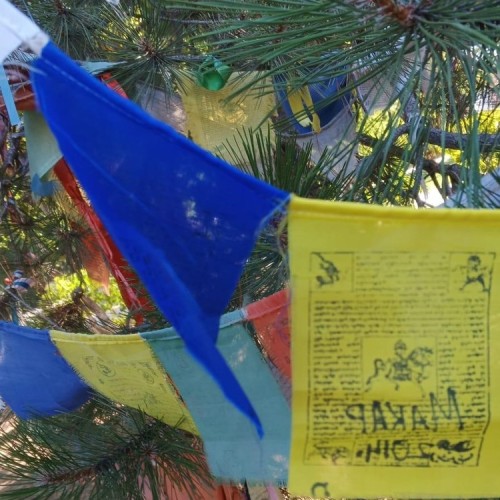 Тур-погружение в культуру Калмыкии: от степных легенд до буддийских святынь