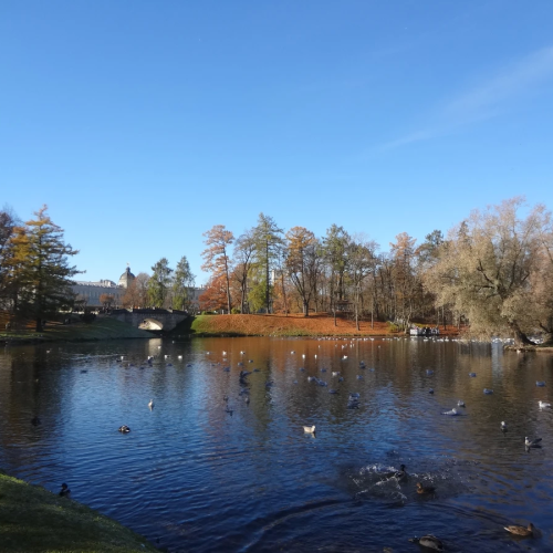 Все парки и замки Гатчины за один день