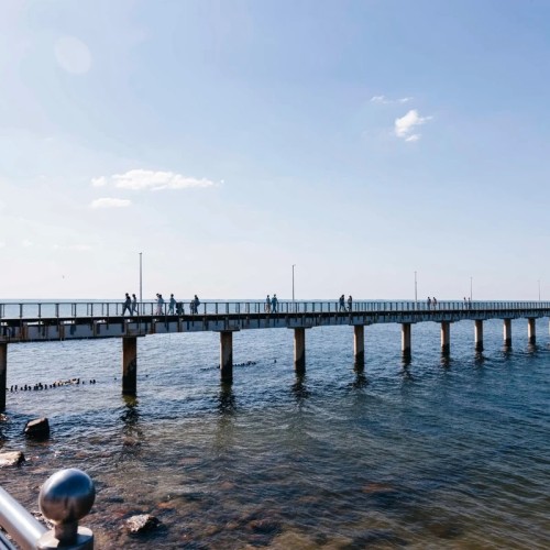 Море, котики, курорты: главное в Калининградской области