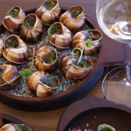 На одной широте с виноградниками Италии: гастропутешествие по винодельням Краснодарского края