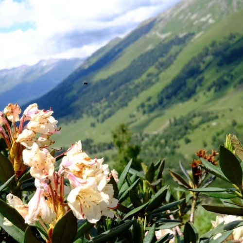 Семейный тур в Архыз с гидом-аниматором: несложные треккинги в живописных горах