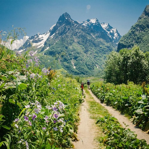 Домбай и Архыз: треккинг налегке с проживанием в гостинице