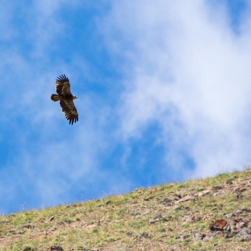 Наедине с Алтаем: высокогорные озёра, живописные долины и неземной ландшафт (всё включено)