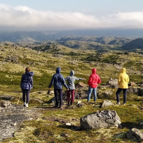 Заповедная территория: к океану на гигантской машине с проживанием в кемпинге