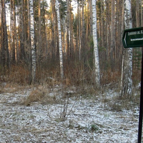 Большая прогулка по Академгородку