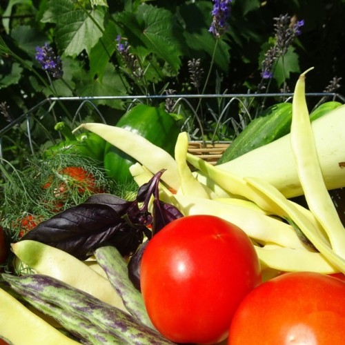 Перезагрузка в горах и на море в мини-группе