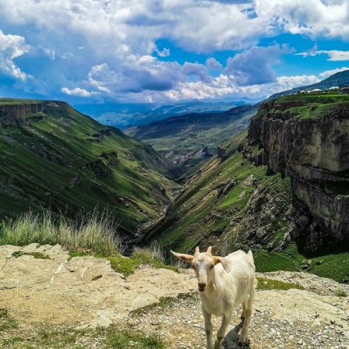 По главным местам Дагестана в мини-группе с катанием на сапах: Сулакский каньон, Хунзах и Дербент