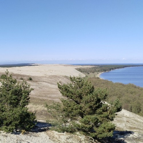 Индивидуальная перезагрузка на Куршской косе и увлекательные экскурсии