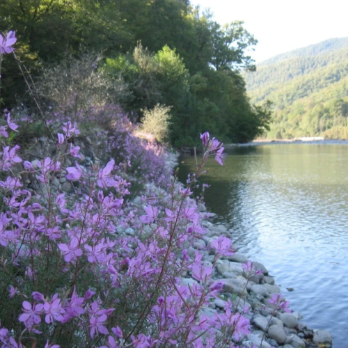 В гости к друиду: выходные в горной долине Шахе (мини-группа)