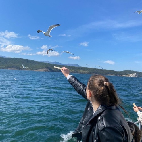 Очарование летнего Байкала: Иркутск, Листвянка и Ольхон, топовые локации и лучшие виды