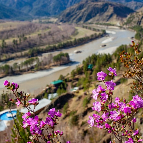 Путешествие по долине реки Катунь — из Горно-Алтайска