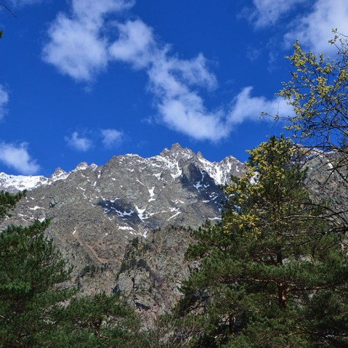 Треккинг в Цейском ущелье налегке с проживанием в гостинице (всё включено)