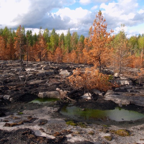 На природу! Прогулки по Карелии с проживанием в глэмпинге