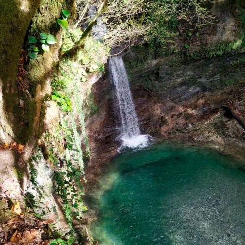 Лёгкий треккинг в субтропиках с проживанием в гостинице в Адлере