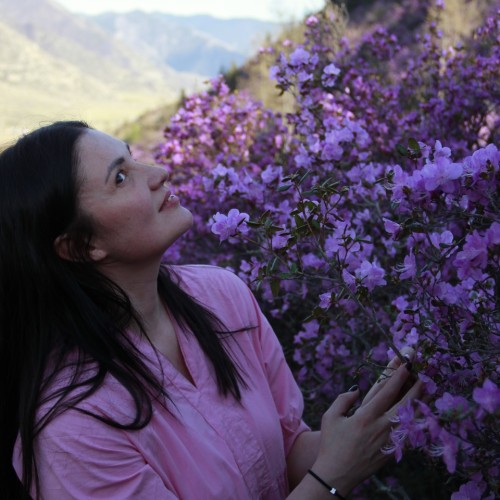 Сиреневые горы, Алтай и май: главные места во время цветения маральника в мини-группе (всё включено)