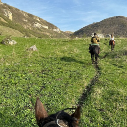 Галопом по Карачаево-Черкесии: конный выезд для опытных всадников