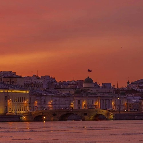 Петербург в революционных дневниках: 1917 г.