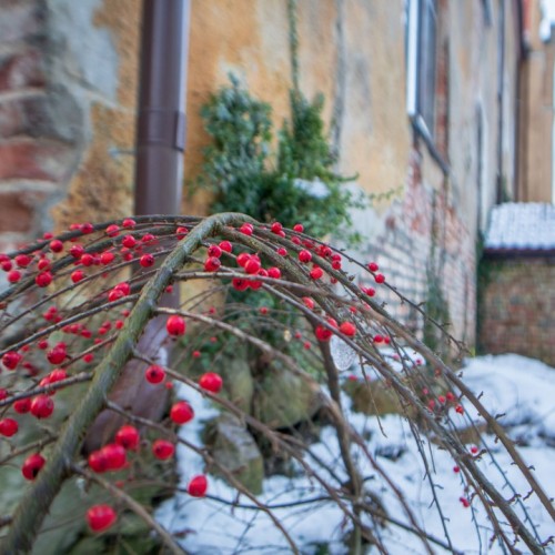 По следам Восточной Пруссии: Кёнигсберг, Зеленоградск и окрестные замки
