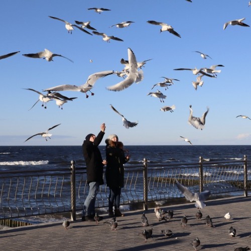 Европейские выходные на Балтийском побережье в мини-группе