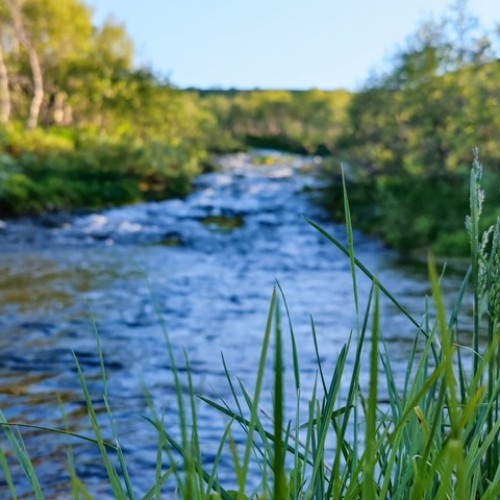 На самый-самый север: автопутешествие по Рыбачьему и Среднему