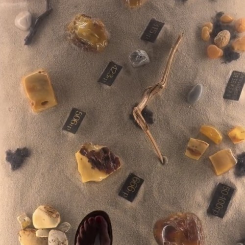 Индивидуально в Калининград: экскурсии, пикник на берегу и прогулка на катере