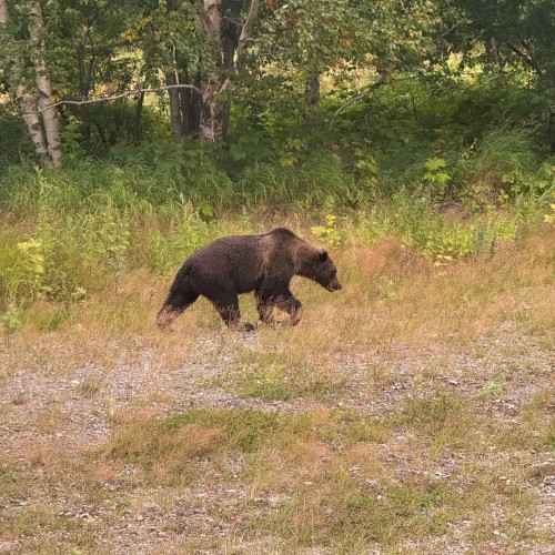 Там с коптера видны вулканы: экспедиция по Камчатке с выходом в море