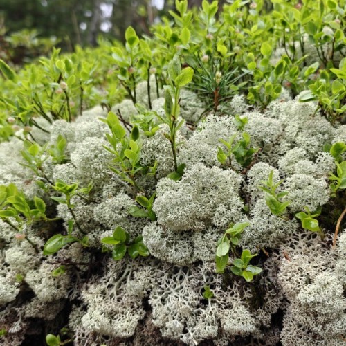 Таёжные водопады парка «Ергаки»: треккинг налегке с ночёвками в палатках