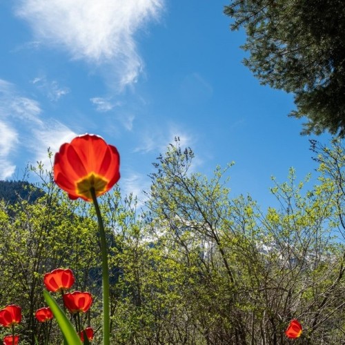 За раз весь Северный Кавказ: большое путешествие по всем республикам