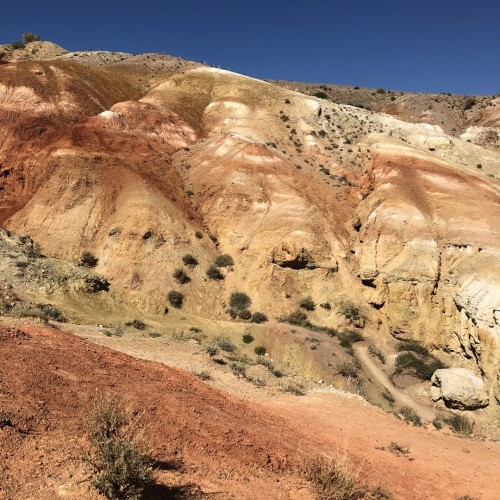 Путешествие по земле духов: природа и культура Алтая