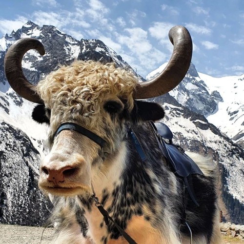 Горы зовут: Пятигорск и топ-3 локации Карачаево-Черкесии