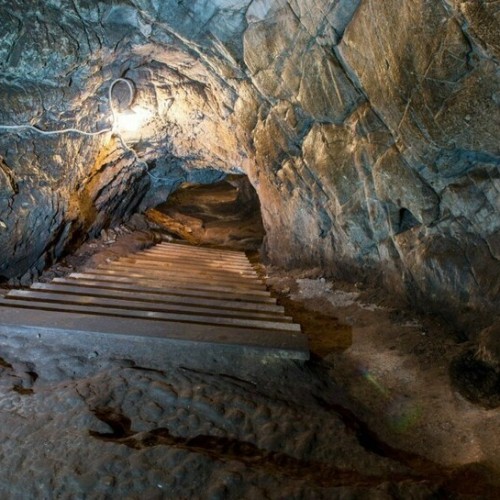 По цветущему Алтаю с выездом из Новосибирска и Горно-Алтайска: топовые места