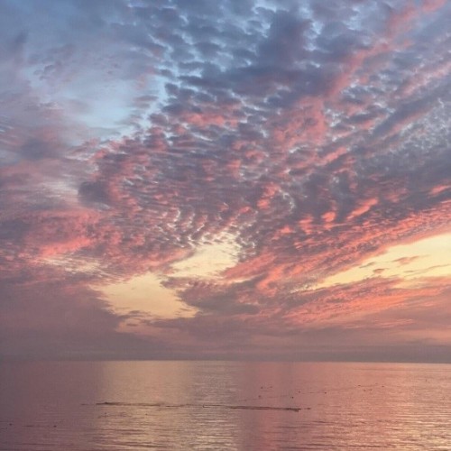 Путешествие на Дальний Восток: Сахалин и Кунашир