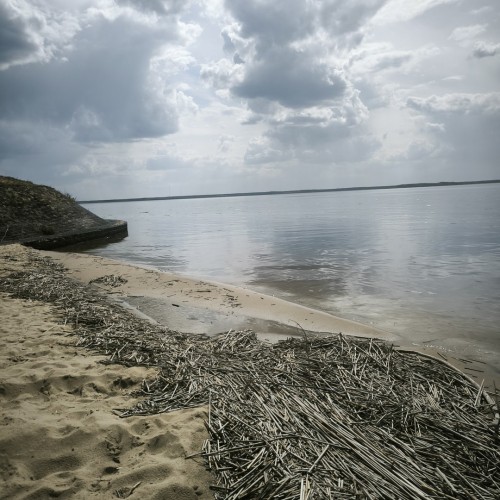 Индивидуальная поездка в Рыбинск: экскурсии по городу и мастер-классы