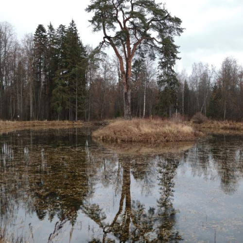По тропам Торжокского района: пеший поход с рюкзаками