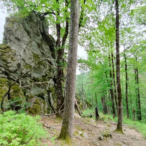 Поход с палатками и автосопровождением через горы в Геленджик