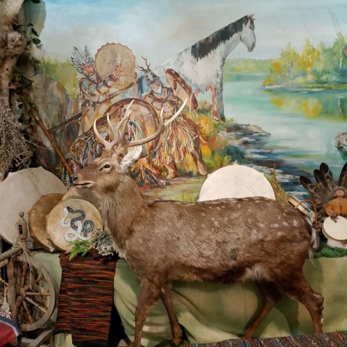 Перезагрузка на Алтае: в гостях у шамана Артёма Игнатенко в Полеводке