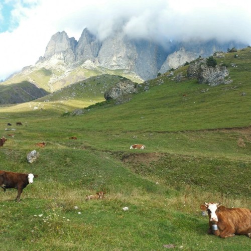 Таинство Ингушетии: треккинг налегке с восхождением на Столовую гору