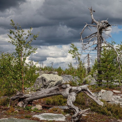 Из Петербурга к месту силы саамов — мистической Воттовааре