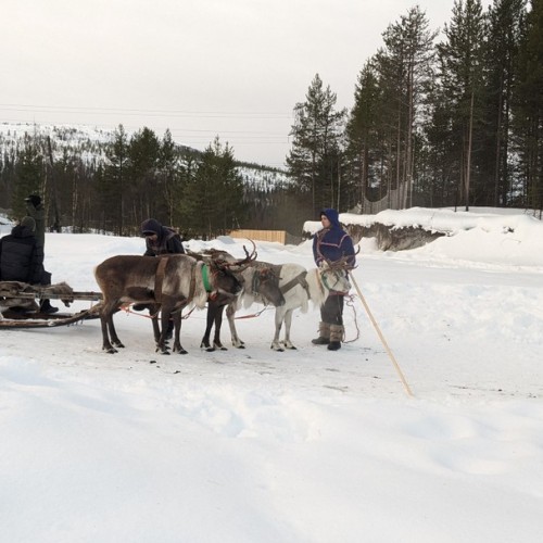 Путешествие в Арктику только для вас: Мурманск, Териберка, северное сияние и локации на ваш выбор
