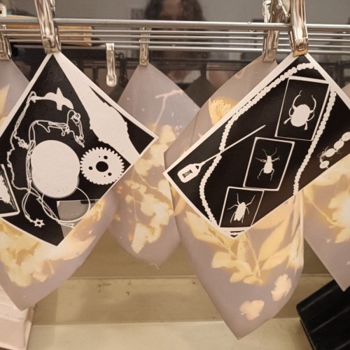 Фотография без камеры: мастер-класс по созданию фотограммы в Петербурге