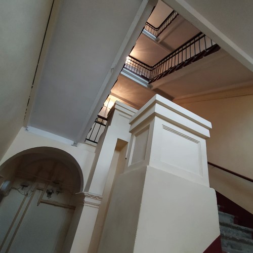 По Васильевскому с островитянином!