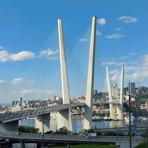 Все видовые Владивостока за 4 часа