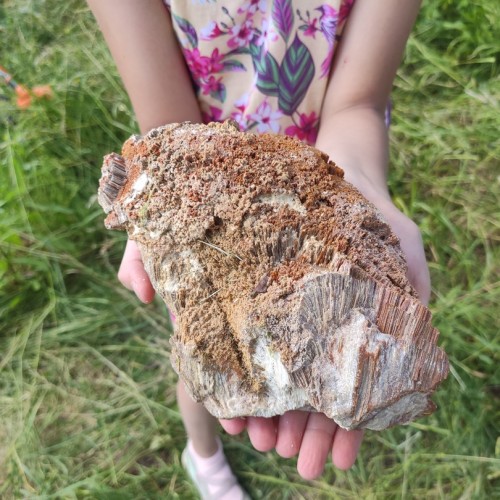 Течёт река Волга: лёгкий сплав на байдарках (всё включено)