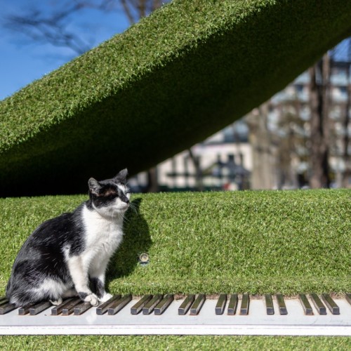 Калининград и всё побережье от Куршской косы до Балтийска индивидуально